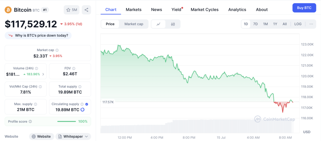نمودار قیمت و اطلاعات بازار بیت کوین - منبع: CoinMarketCap